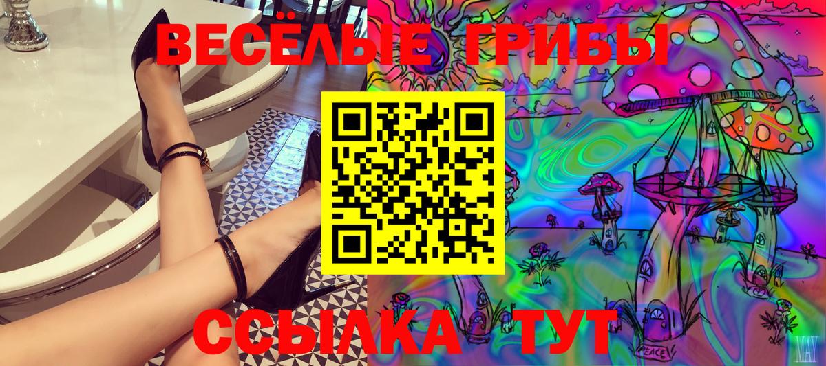 Псилоцибиновые грибы GOLDEN TEACHER  Вход с VPN  Саки 
